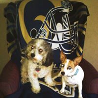 Trisha Vaughn Photo 8