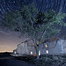 Carlos Pando Photo 2