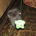 Myra Gray Photo 14