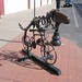 David Roby Photo 14