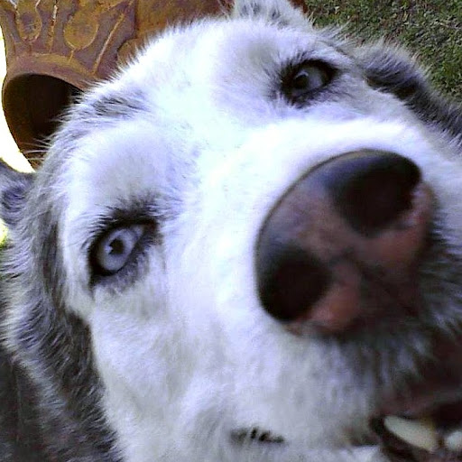 Sherry Graham Photo 6