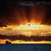 Deanna Ray Photo 14