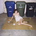 Laura Bryan Photo 10