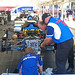Tracy Crews Photo 17