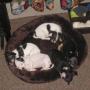 Lori Ray Photo 21