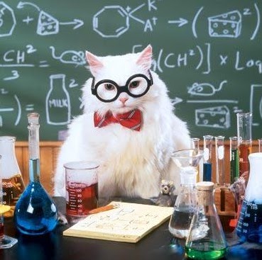 Michelle Hartwell Photo 28