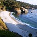 Sandy Gibson Photo 12