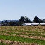 Eugene Case Photo 16