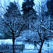 April Winters Photo 37