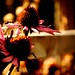 Anna Mathisen Photo 6