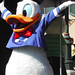 Donald Good Photo 27
