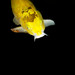 Michael Coy Photo 19