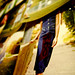 Wanda Estes Photo 16