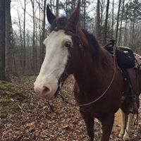 Allison Boswell Photo 22