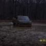 Timothy Strickland Photo 17