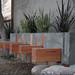 Jeremy Gray Photo 33