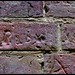 Thomas Raby Photo 18