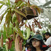 Adrianne Flowers Photo 6