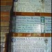 Elizabeth Ricketts Photo 33
