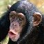 David Sampson Photo 32