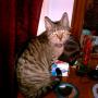 Lucille Clark Photo 25