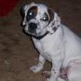 Nancy Knotts Photo 18