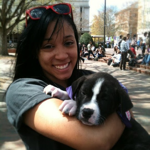 Rachelle Cook Photo 12