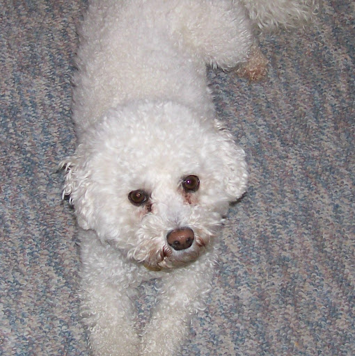 Jill Tharp Photo 12