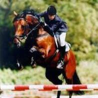 Terri Atkins Photo 26