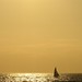 Michelle Nack Photo 10