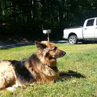 Amy Mcintire Photo 6