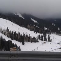 Cathy Thurman Photo 17