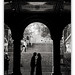 Alan Parks Photo 24
