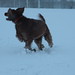 Holly Watson Photo 14