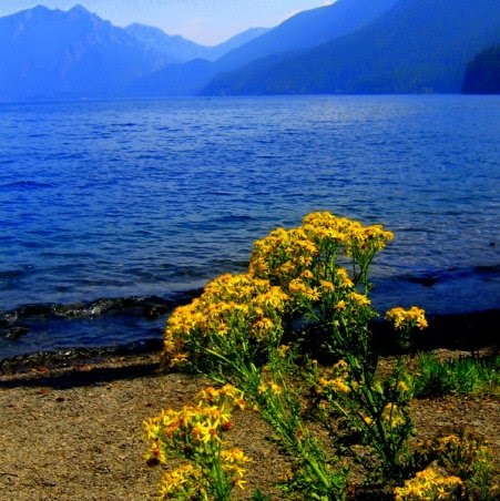James Logsdon Photo 10