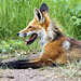 Paula Hunt Photo 30