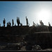 Pablo Cardone Photo 8