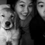 Mark Wang Photo 5