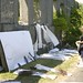 Sharon Dunn Photo 39