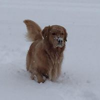 Karen Chaffee Photo 16