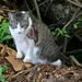 Wendy Wells Photo 13