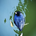 Ming Yin Photo 14