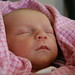 Debbie Steele Photo 21