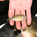 William Keiser Photo 14