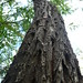 Margaret Brookes Photo 17