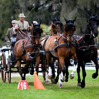 Joe Yoder Photo 28