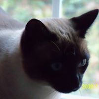 Ruth Hedrick Photo 9