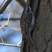 Garret Wilson Photo 7