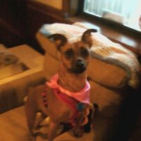 Melody Varner Photo 7