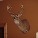 Rene Hunt Photo 14